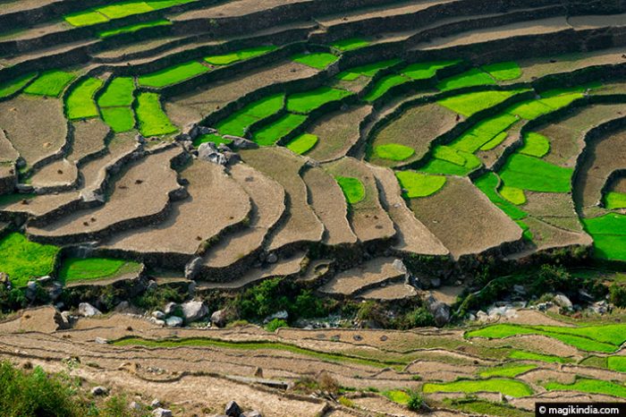 Mizoram, Tripura, Manipur & Nagaland (NORTH EAST)